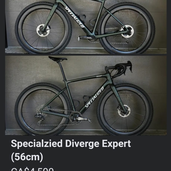 Western Southwestern equestrian belt buckle with 3D horse head and shoe - Picture 4 of 7